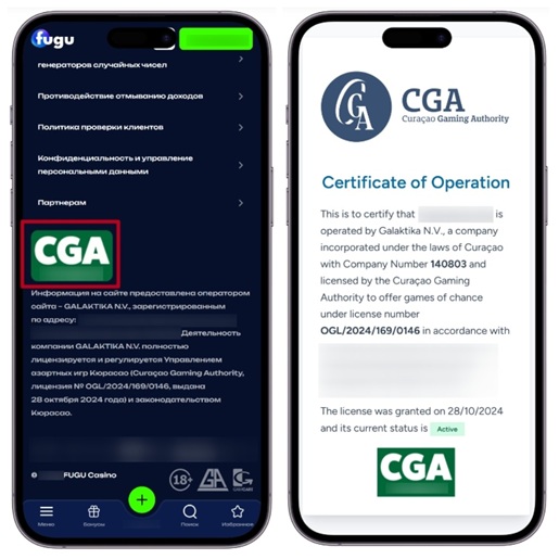 Проверка лицензии