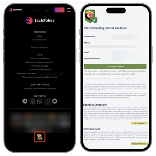 Подтверждение лицензии