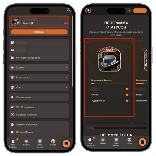 Разделы профиля и программы лояльности