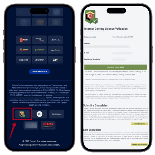 Проверка лицензии